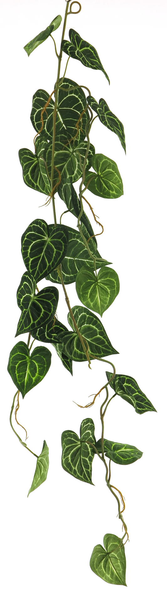 Anthurium Alba Garland Green 109cm