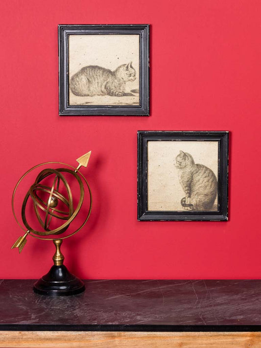 Framed Cats - 2 types