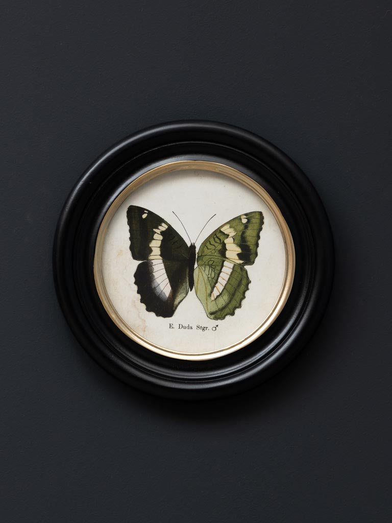 Butterfly Frames - 4 types