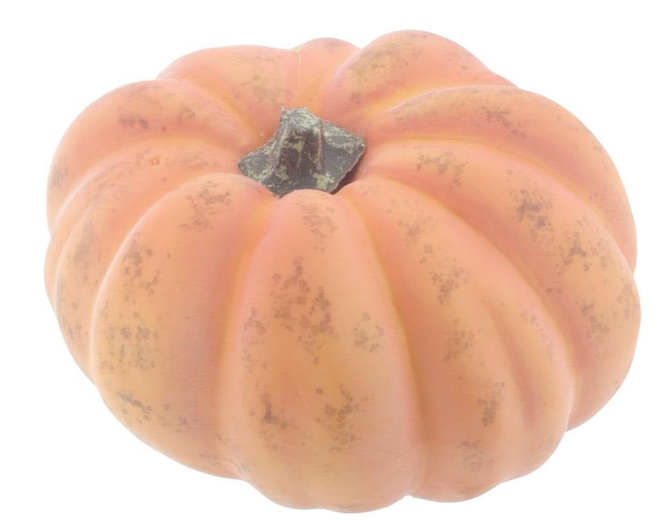 Mandarin Pumpkin Orange 13cm