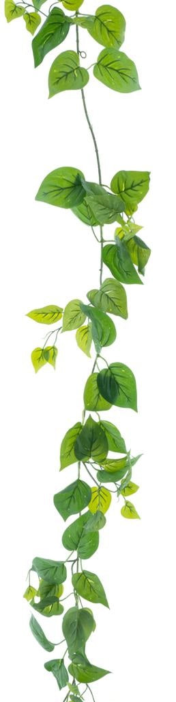 Pothos Garland Green 210cm