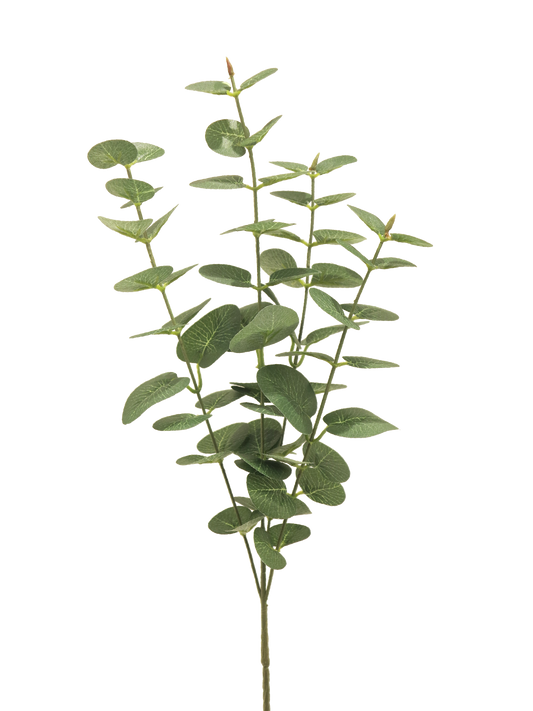 Eucalyptus Jewel LVS Grey Green 64cm