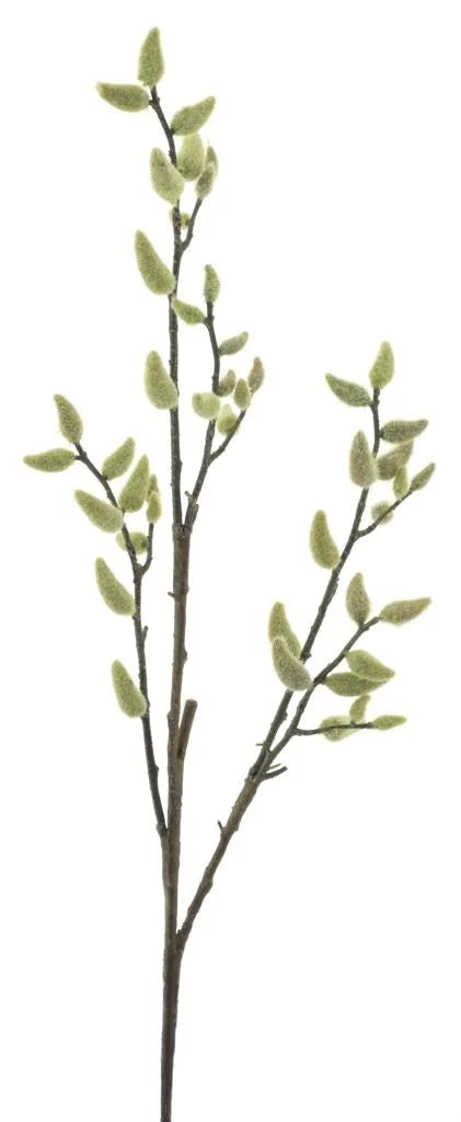 Pussy willow green 99cm