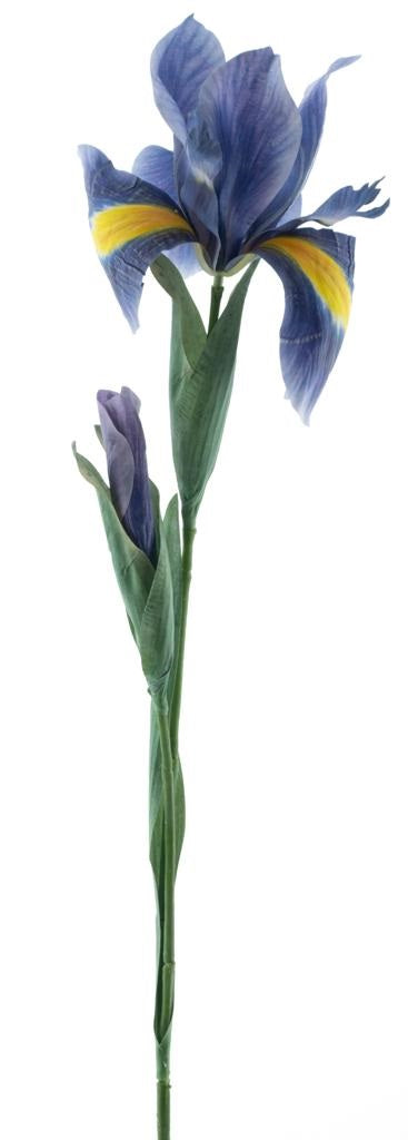 Iris spray blue 79cm