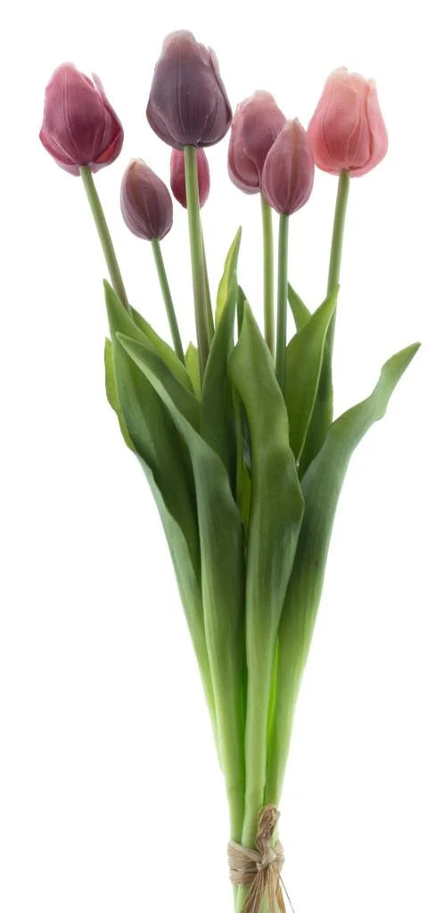 Classic tulip bundle Sallyx7 new mauve/pink combo 47cm