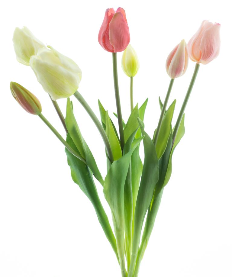 Classic mixed tulip bundle Sally ×7 pink/cream 47cm