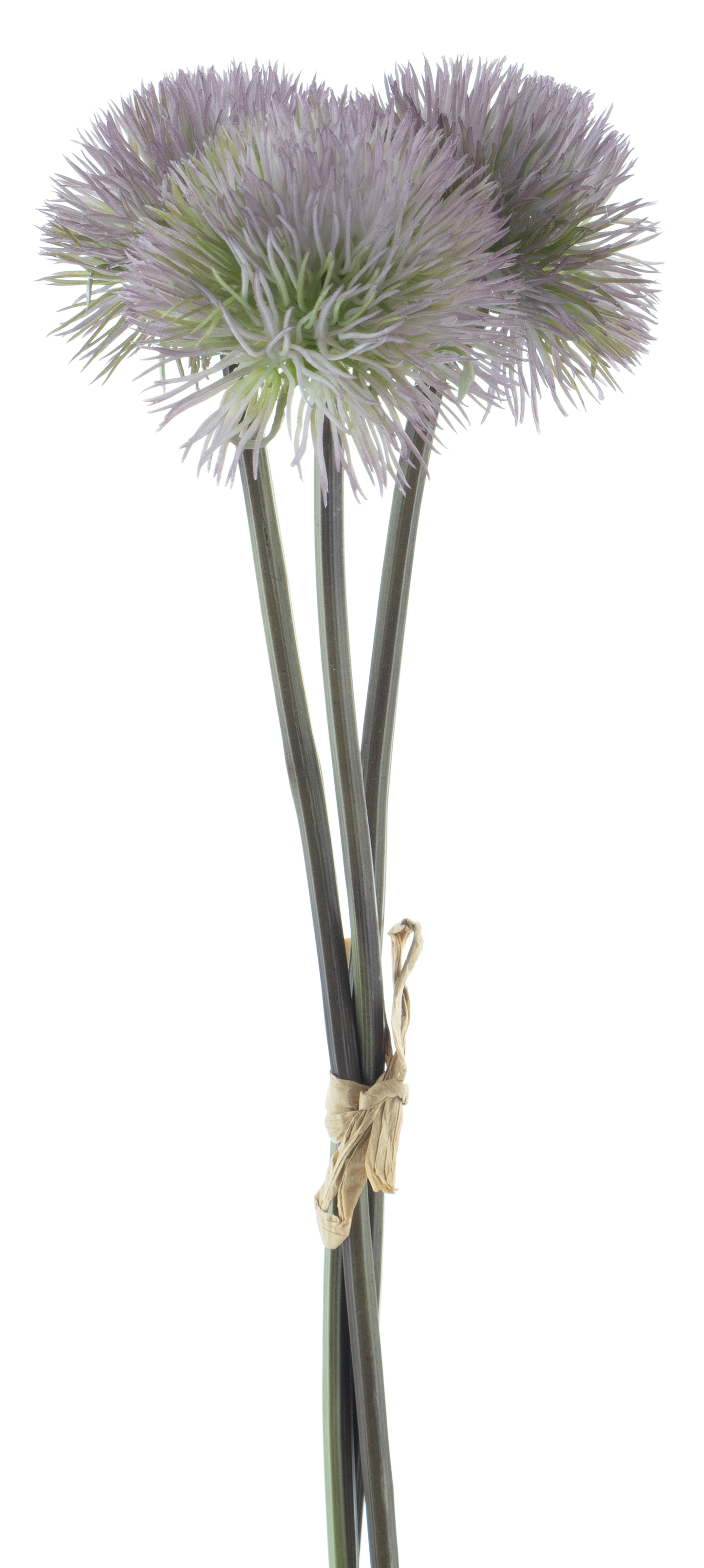 Celosia Flower Spray Bundle Purple 35cm