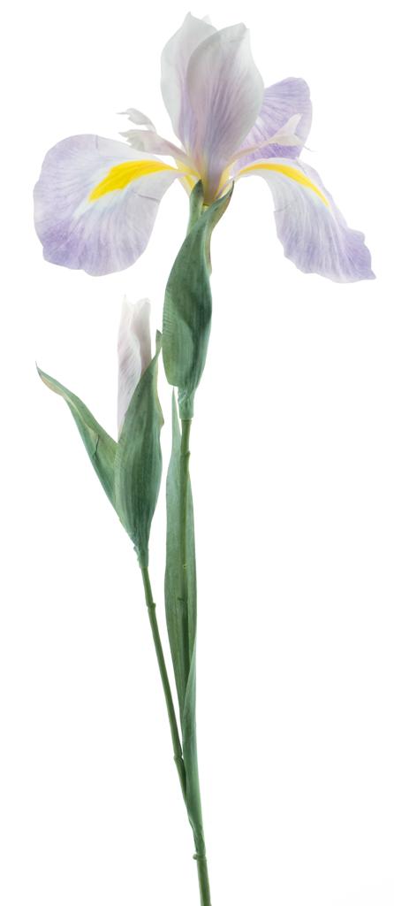 Iris spray pink 79cm