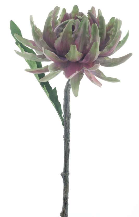 Artichoke Spray Green/Pink 55cm