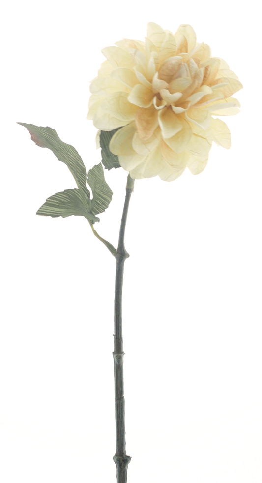 Dahlia Spray Bentheim Ivory 56cm