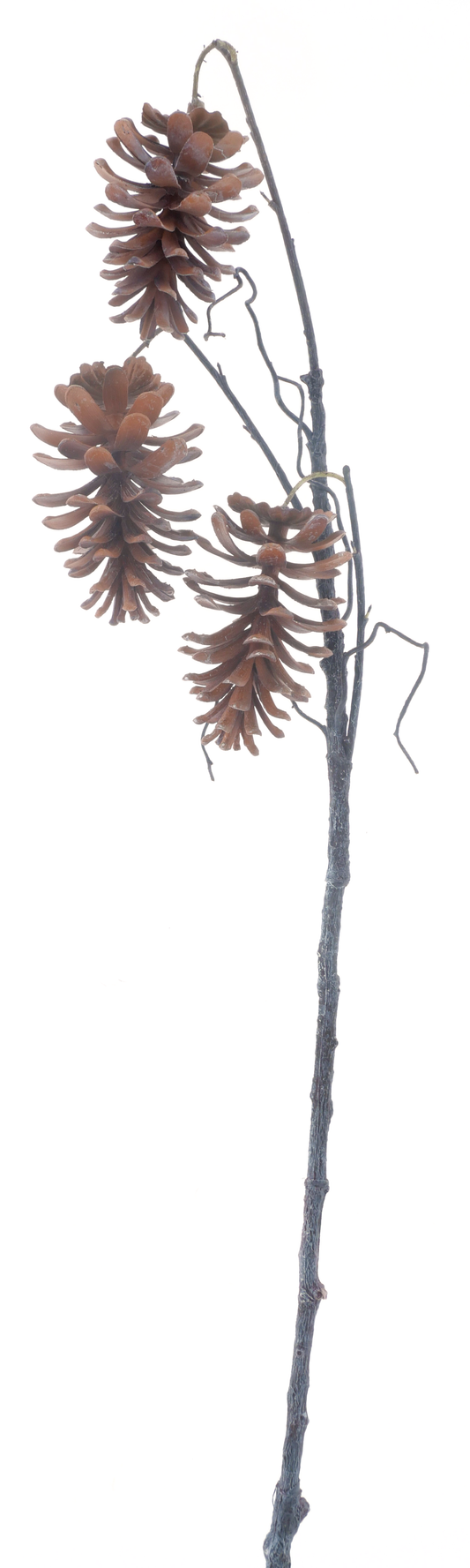 Pinecone Branch Kiedrich Brown 140cm