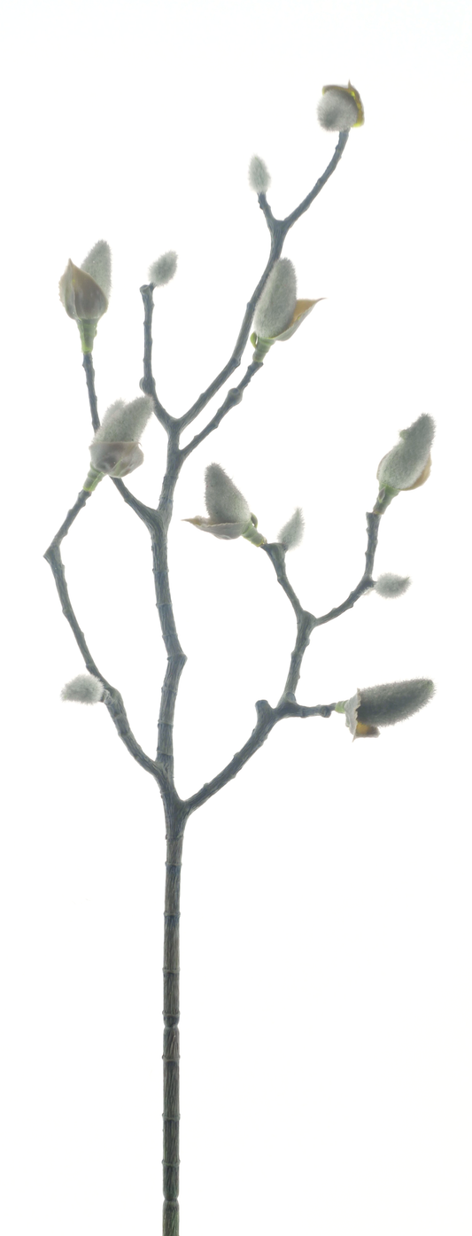 Magnolia Bud Spray Sven Black 59cm