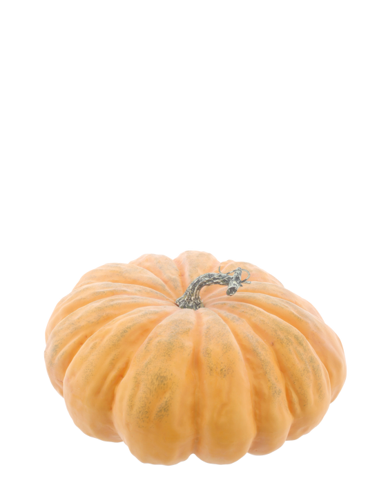 Mandarin Pumpkin Orange 26cm