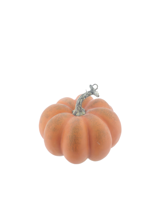 Star Squash Pumpkin Orange 15cm