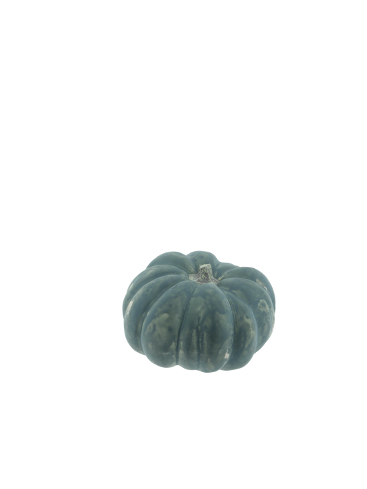 Mandarin Pumpkin Green 13cm