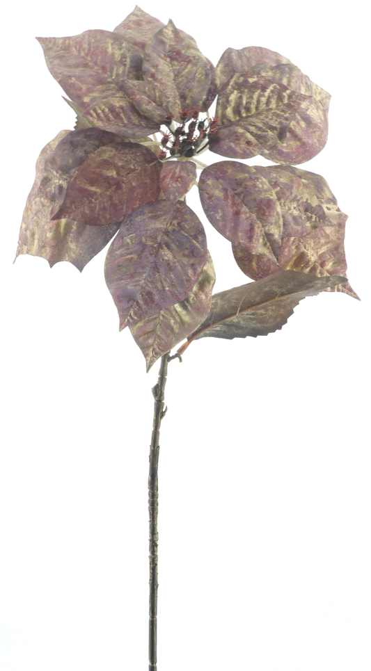 Poinsettia Spray Aubergine 74cm