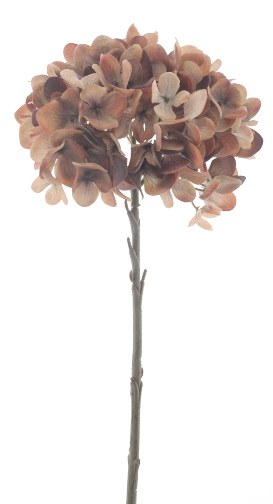 Autumn Hydrangea Spray Brown 46cm