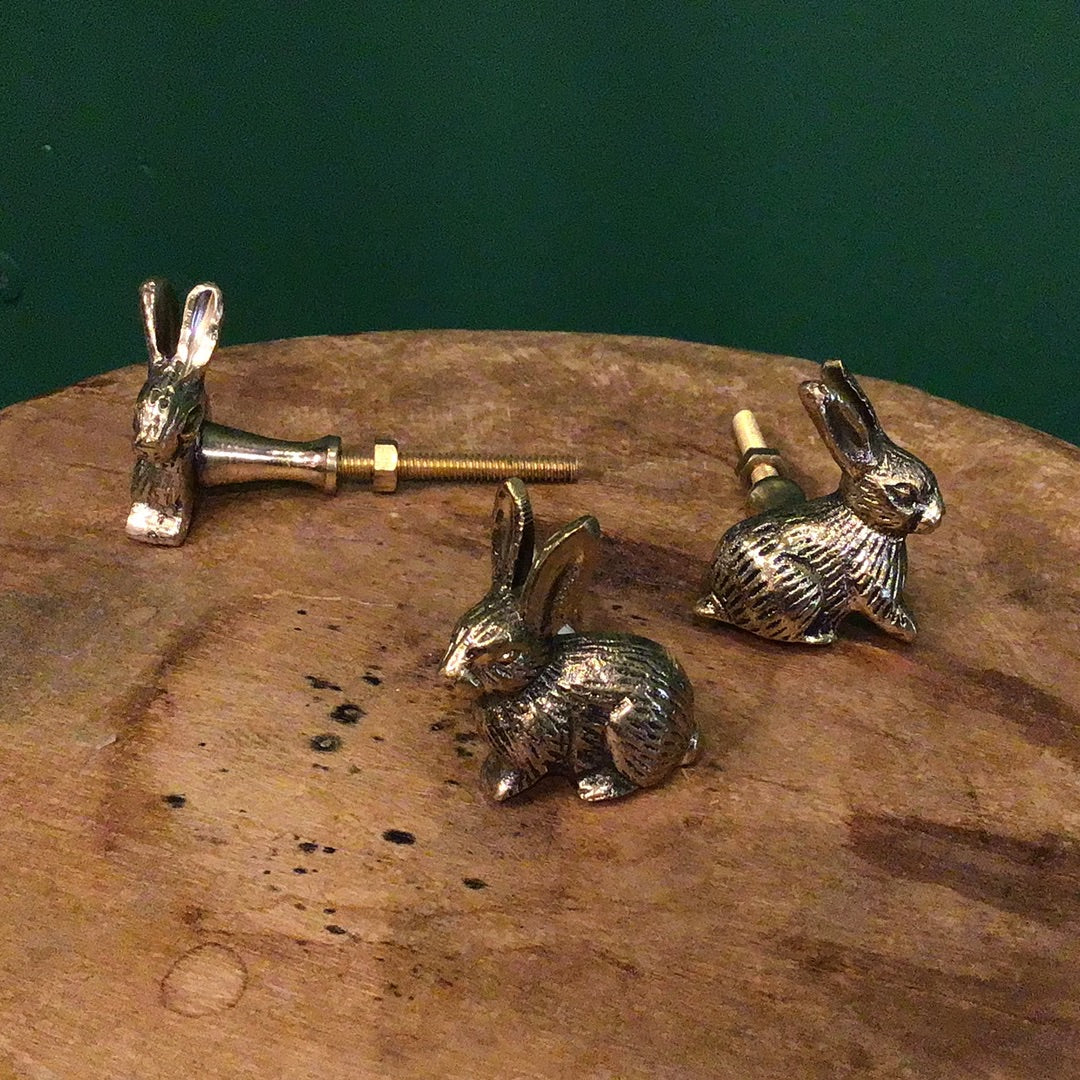Brass Knob Bunny Rabbit 3x7x4