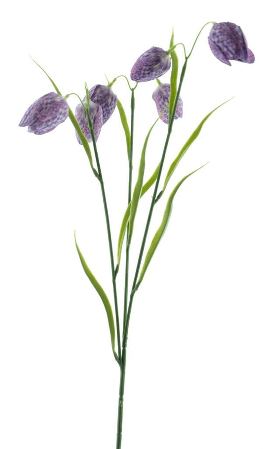 Fritallaria spray purple 60cm