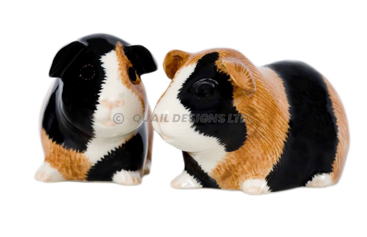 Guinea Pig Salt & Pepper