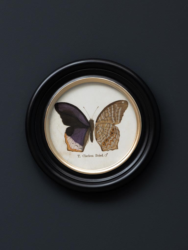 Butterfly Frames - 4 types