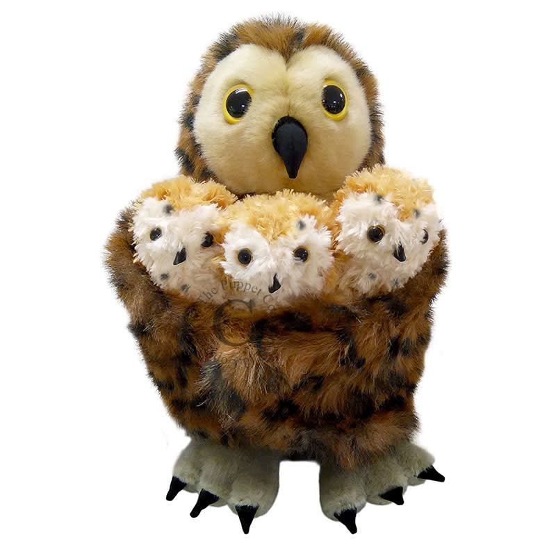 Hide-Away-Tawny-Owl-with-three-Babies-800x800