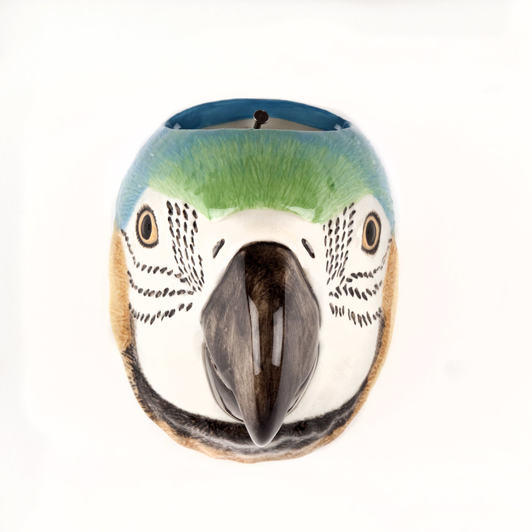 Macaw Wall Vase Small 01