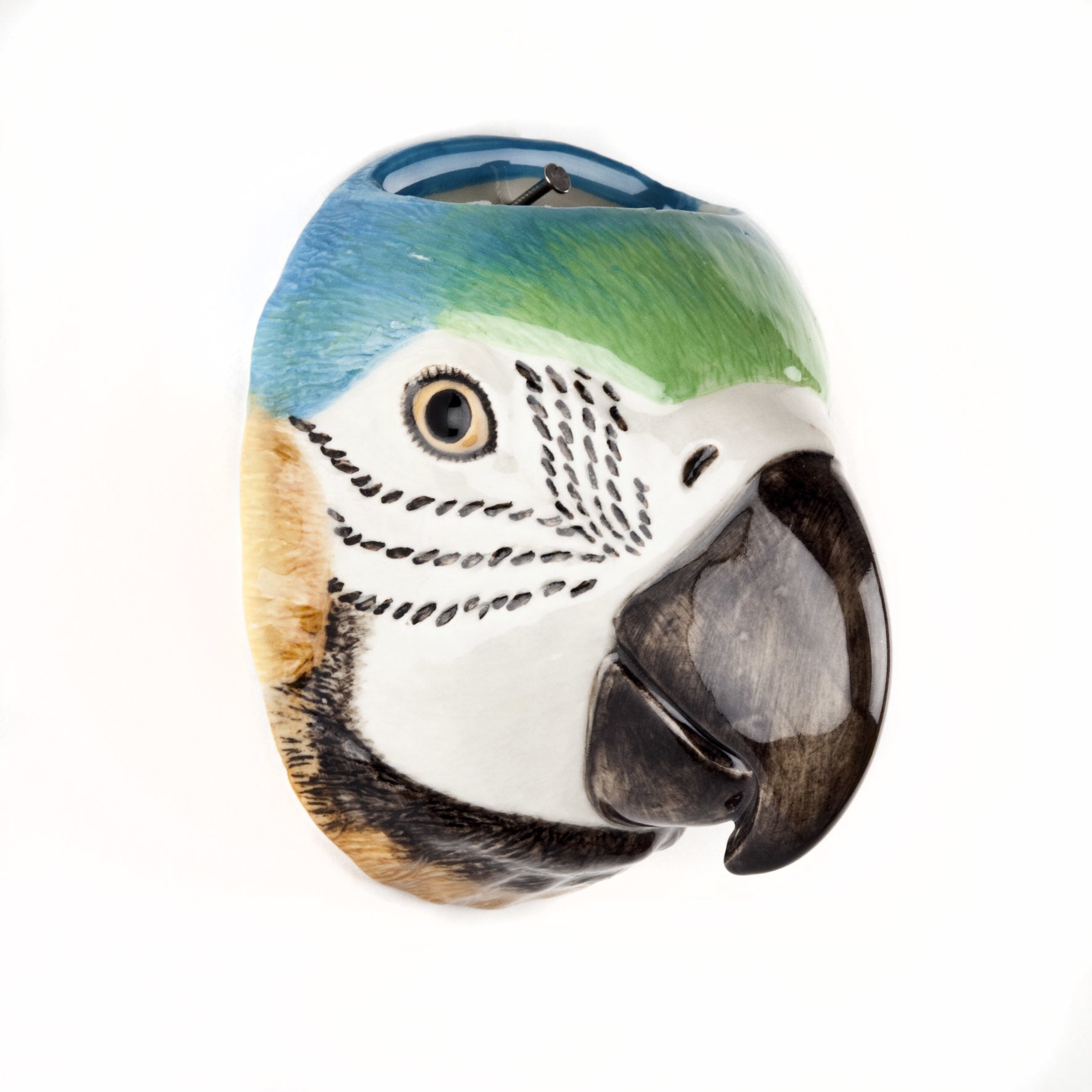 Macaw Wall Vase Small 03